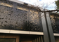 Güzel Dekoratif Metal Paneller Dış, Dekoratif Çelik Cephe Panelleri ISO9001 Onaylandı Tedarikçi